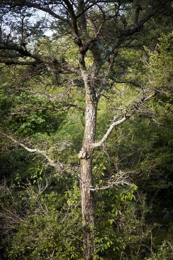 Letamo At Qwabi Private Game Reserve By Newmark بيلا-بيلا المظهر الخارجي الصورة
